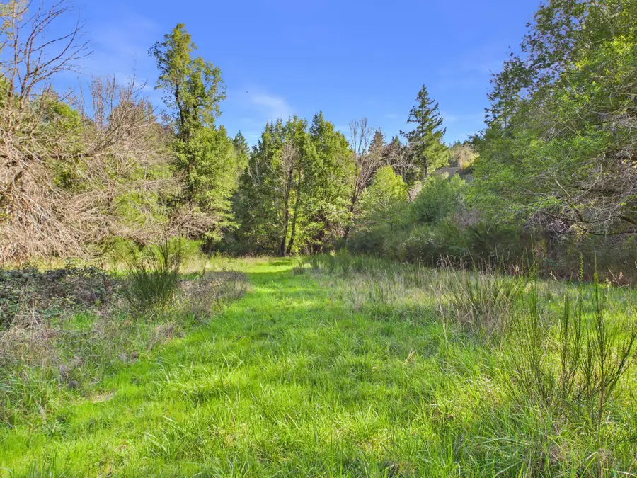 5350 Briceland Road, Garberville, CA 95542 - #3