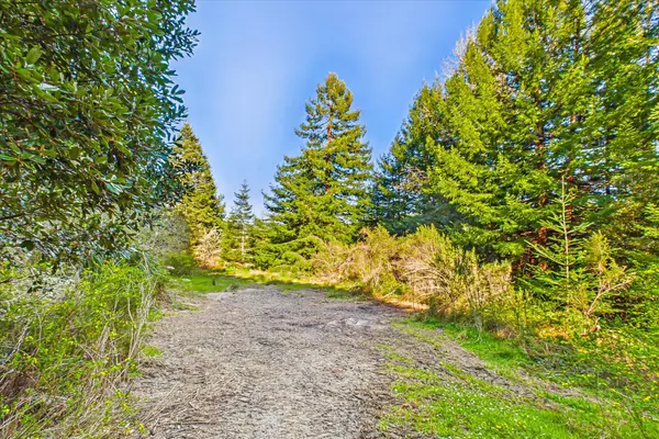 155 Old Ranch Road, Rio Dell, CA 95562