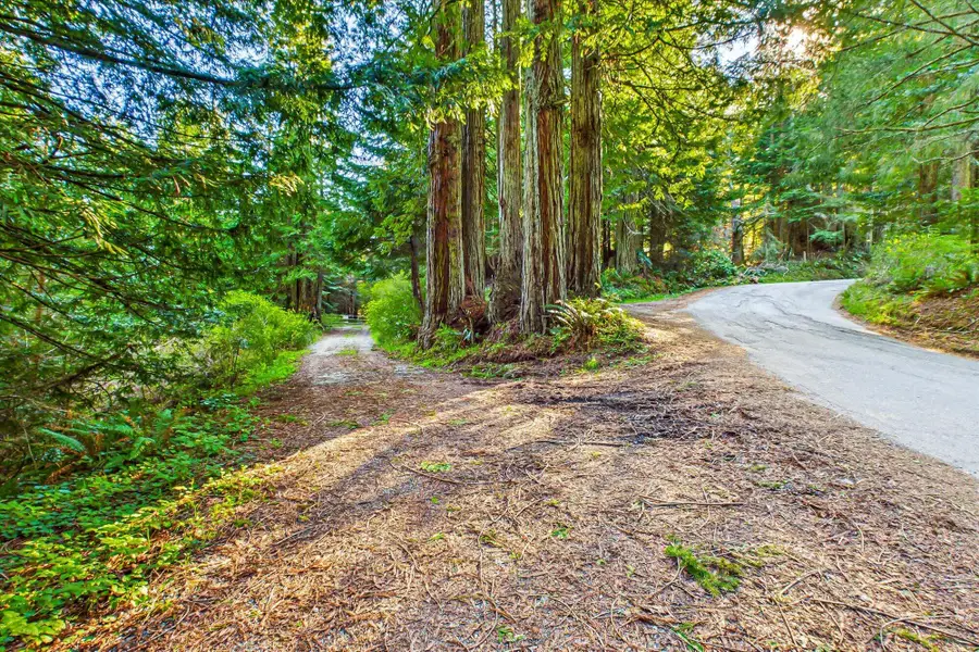 155 Old Ranch Road, Rio Dell, CA 95562 - #2