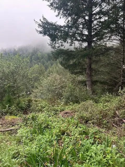 225 Nob Hill Road, Shelter Cove, CA 95589 - #1