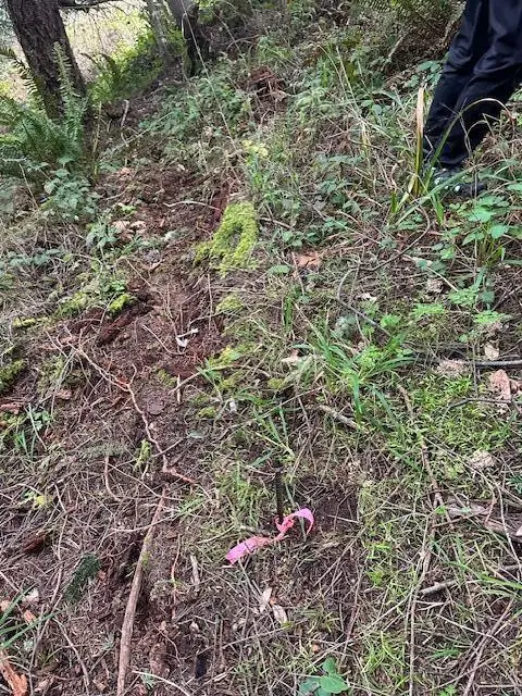 233 Nob Hill Road, Whitethorn, CA 95589 - #3