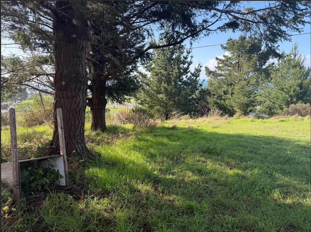 90 Fawn Drive, Shelter Cove, CA 95589 - #1