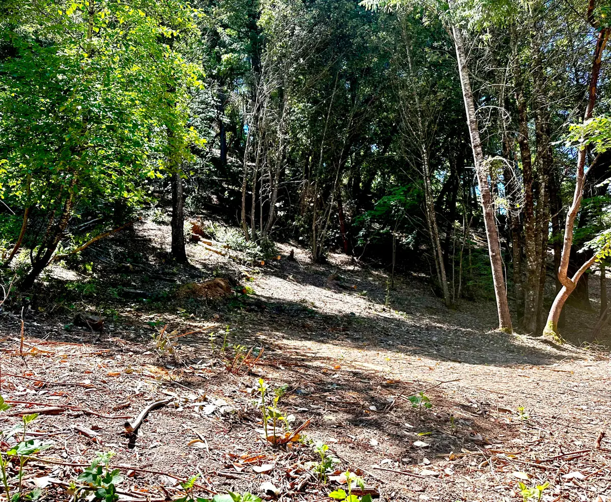 775 & 801 Forest View Drive, Willow Creek, CA 95573 - #1