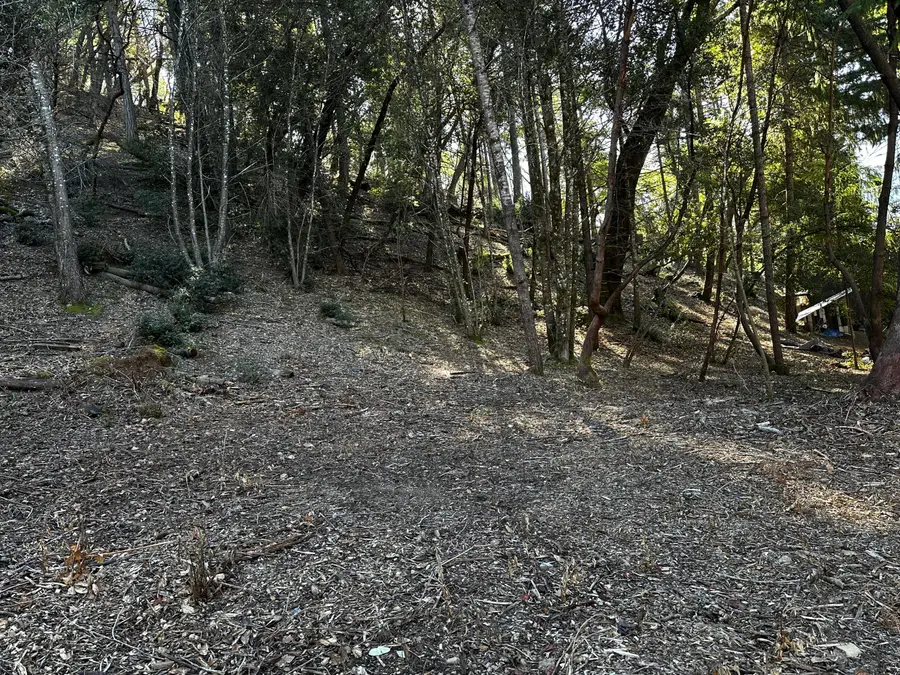 775 & 801 Forest View Drive, Willow Creek, CA 95573 - #3