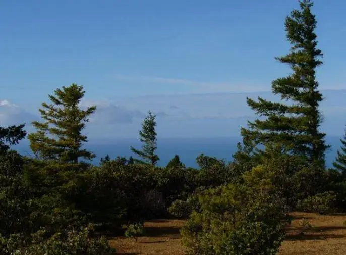 55 Pepperwood Drive, Whitethorn, CA 95589 - #2