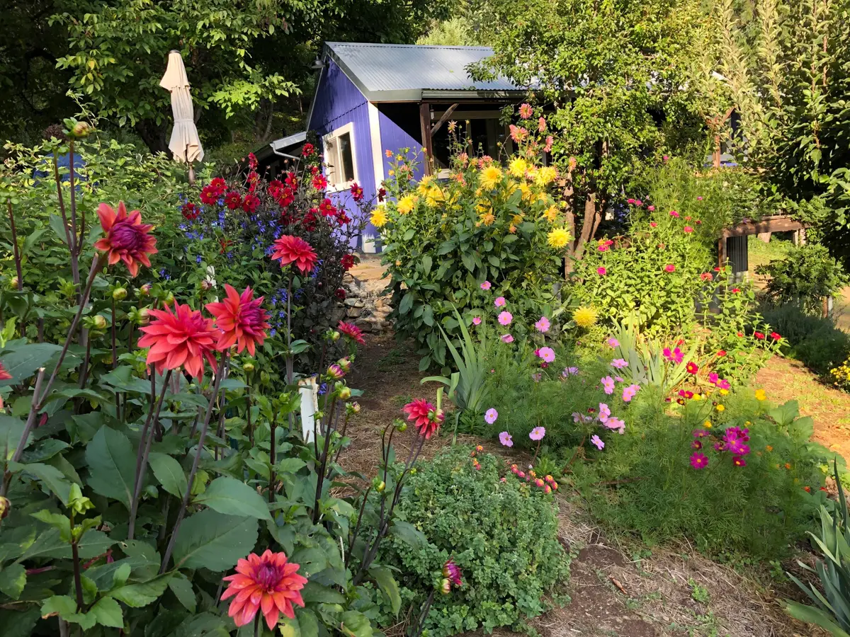 787 Owl Mine Road, Orleans, CA 95556 - #1