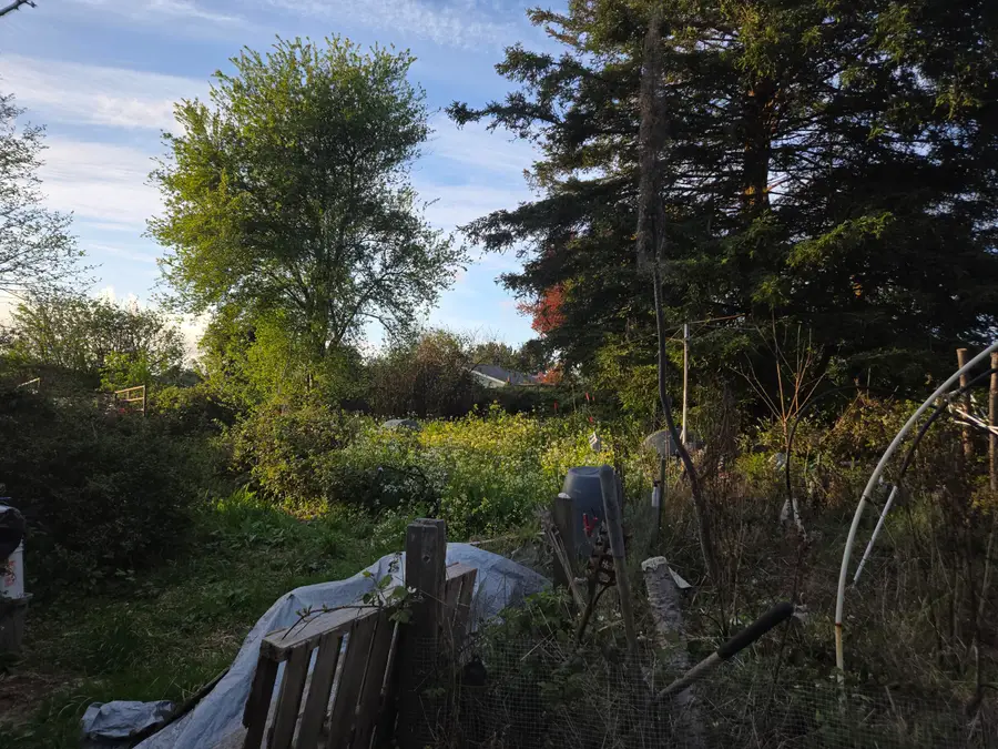 1495 School Road, McKinleyville, CA 95519 - #3