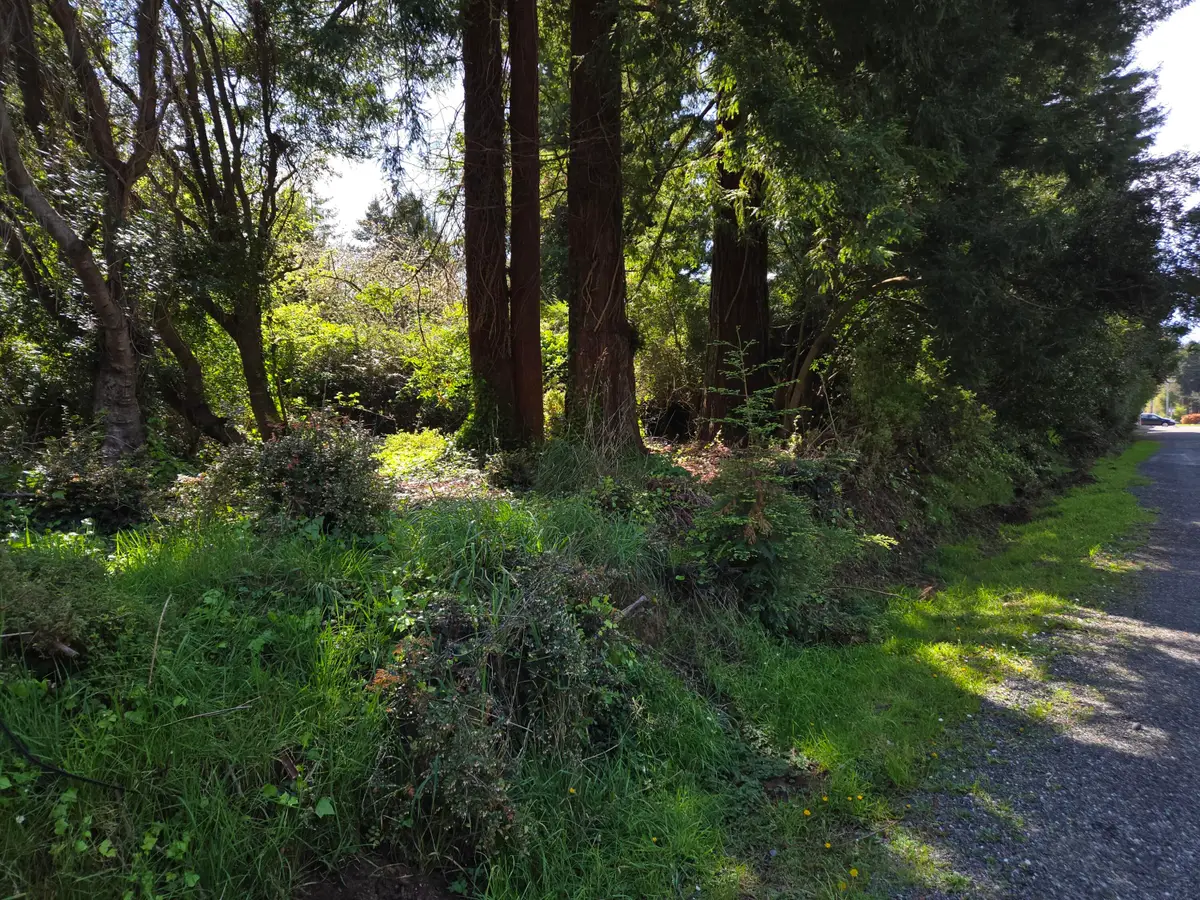 4581 Campton Road, Eureka, CA 95503 - #1