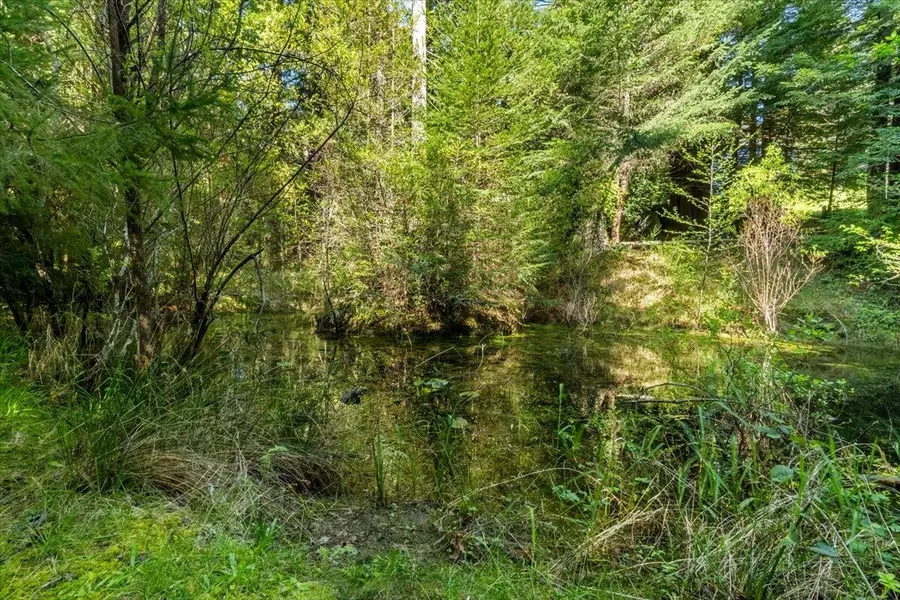 109 Red Rock Lane, Fieldbrook, CA 95519 - #3