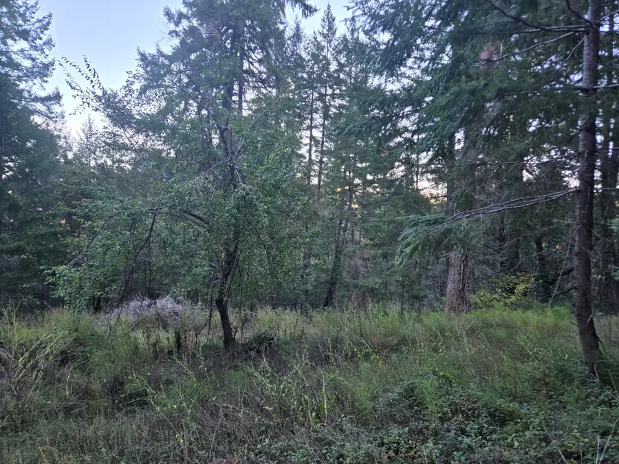 967 &1141 Shop Road, Redway, CA 95560 - #3