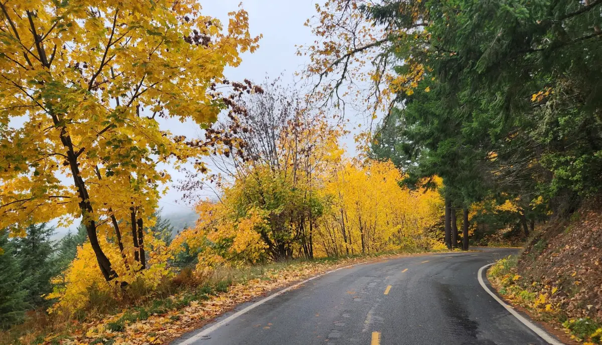 1400 Titlow Hill Road, Willow Creek Hoopa Valley, CA 95525 - #1