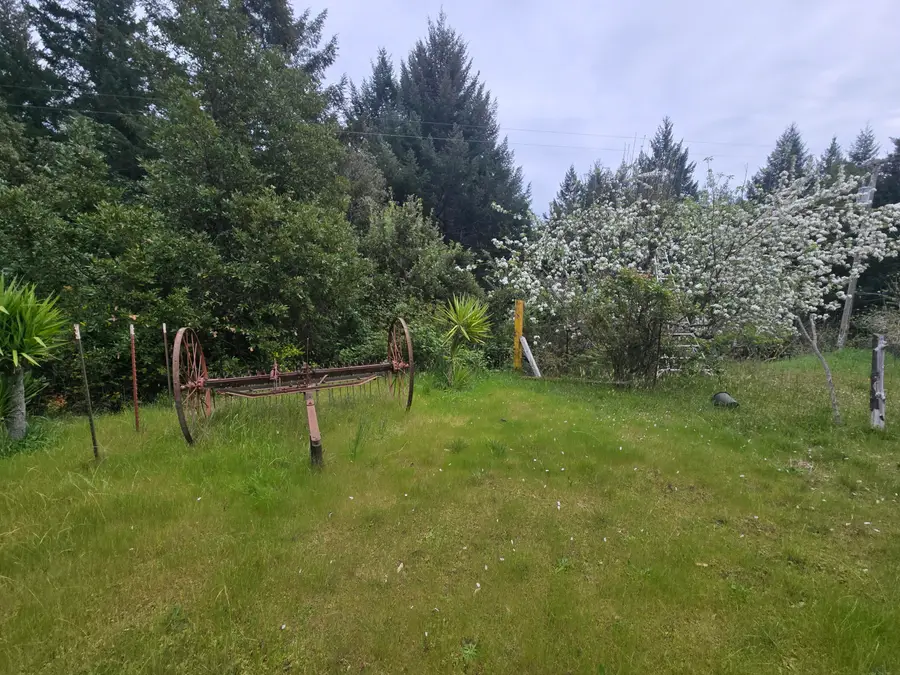 330 Colony Road, Myers Flat, CA 95554 - #3