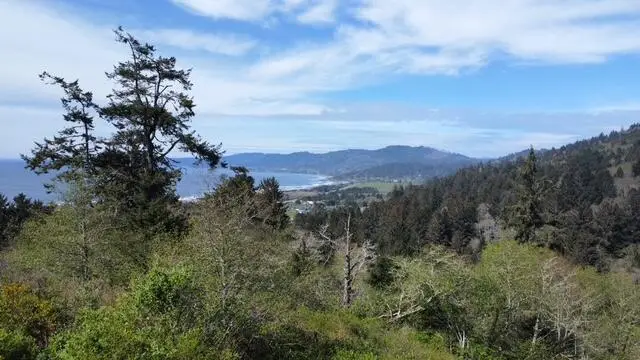 Lot 3 Ocean Heights Way, Smith River, CA 95567 - #3