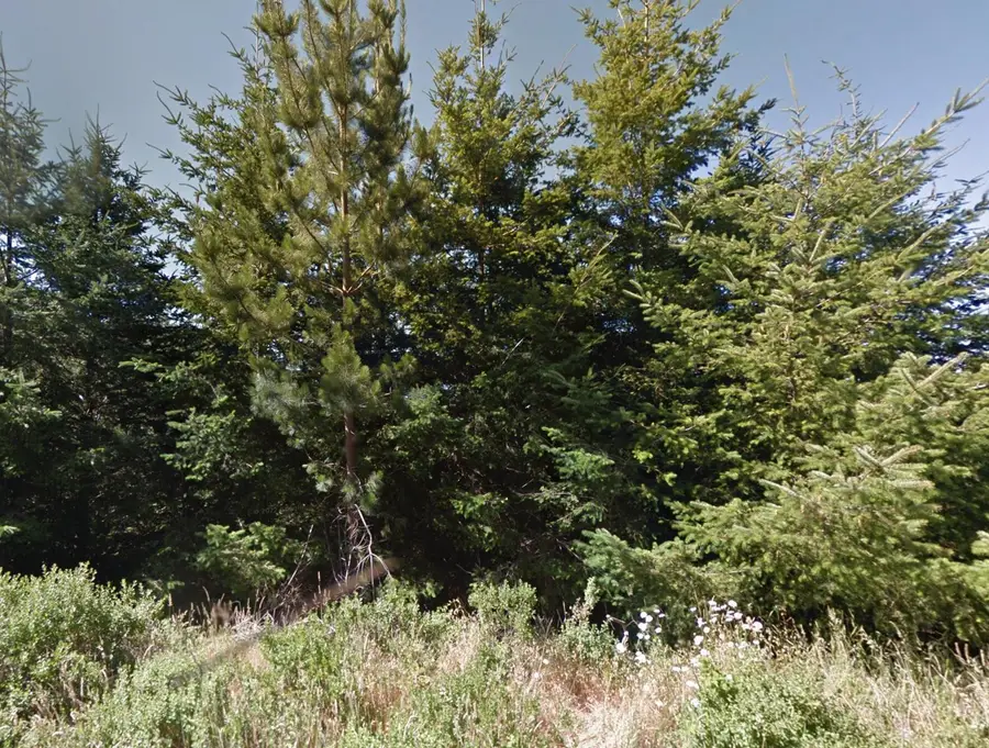 149 Eel Court, Shelter Cove, CA 95589 - #2