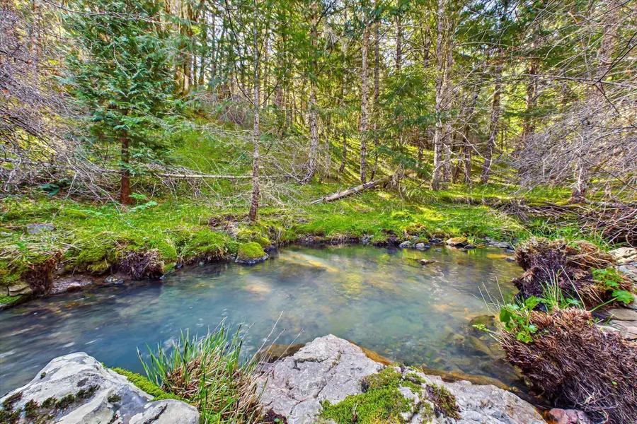 1960 Burr Valley Road, Bridgeville, CA 95526 - #2