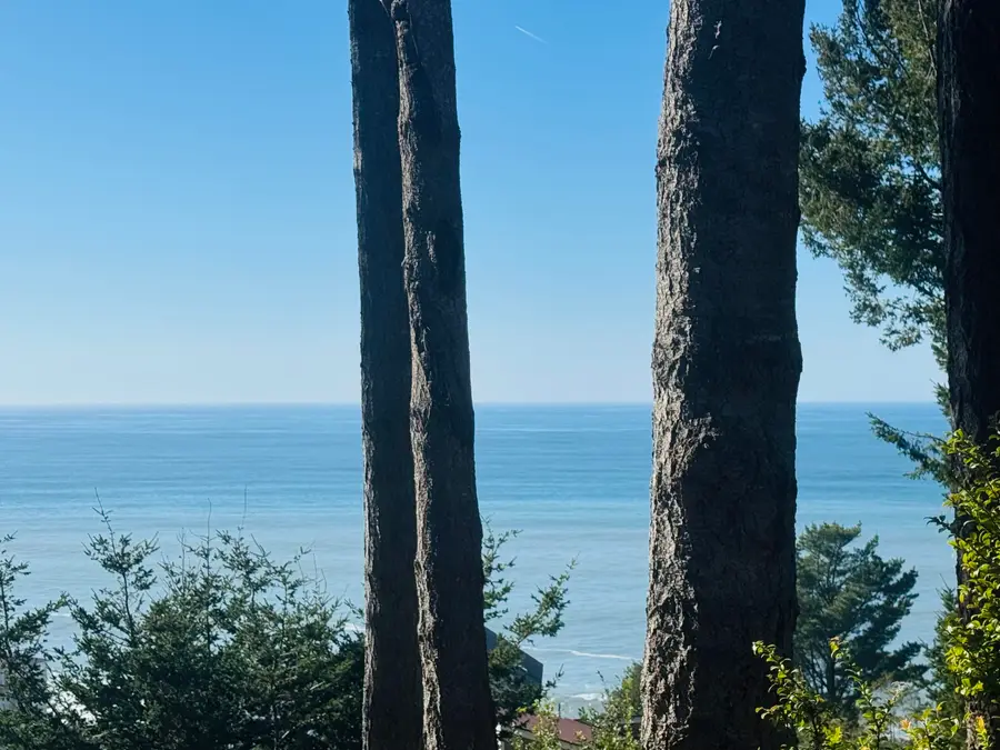 765 Upper Pacific Drive, Shelter Cove, CA 95589 - #2