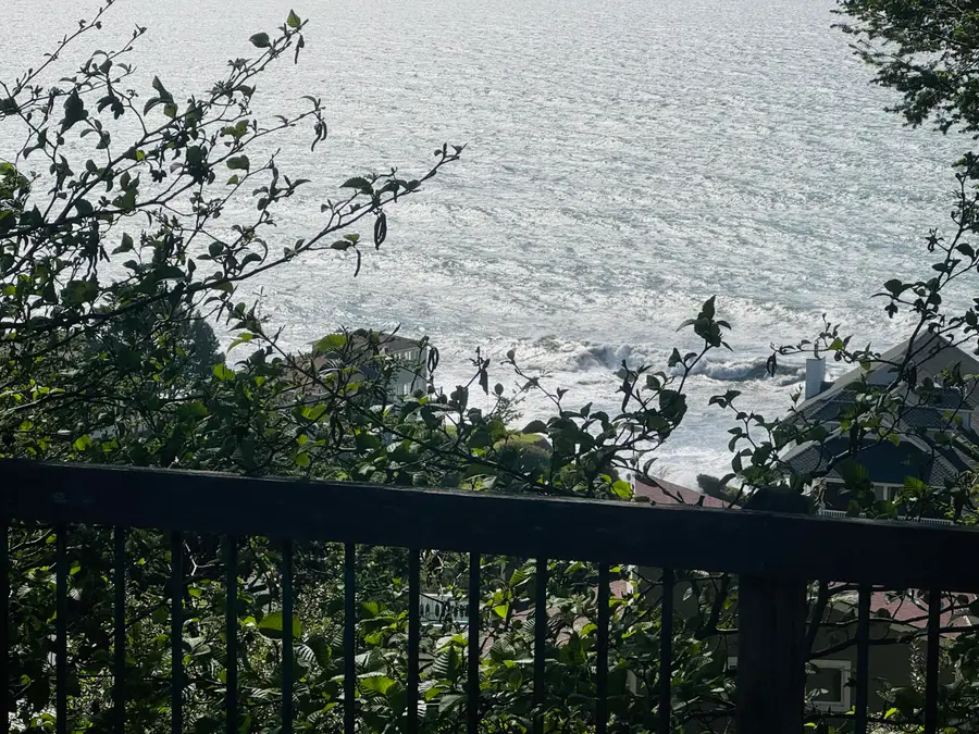 765 Upper Pacific Drive, Shelter Cove, CA 95589 - #3