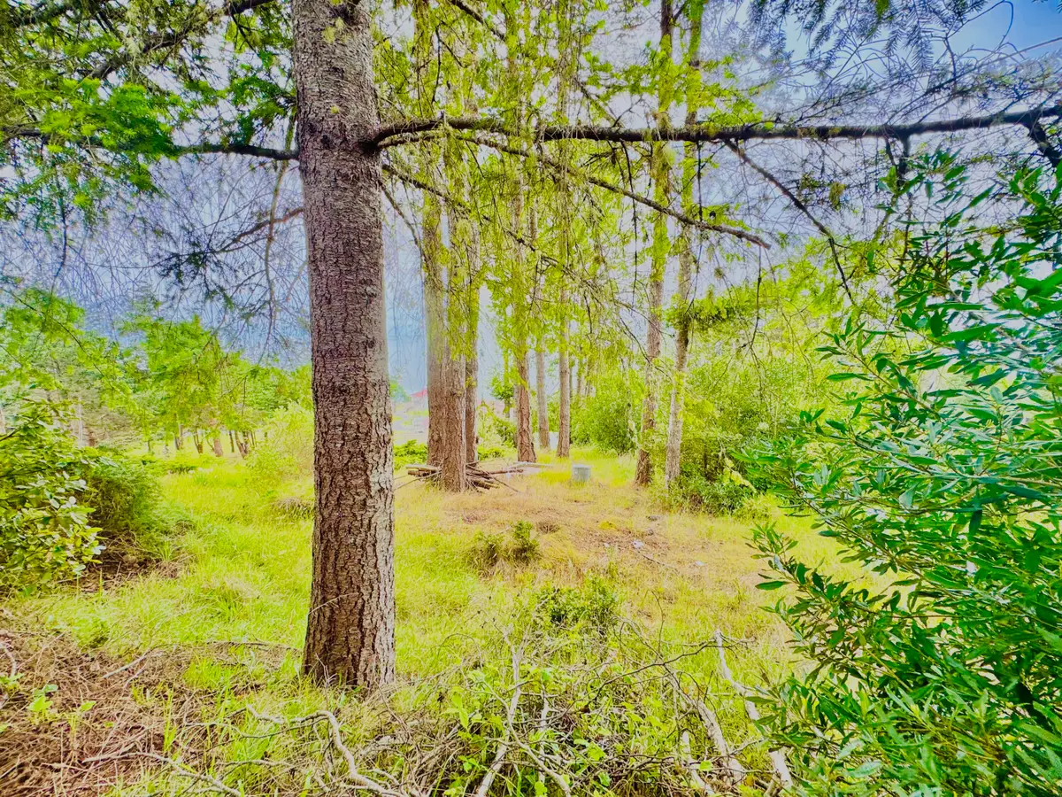 110 Albatross Road, Shelter Cove, CA 95589 - #1