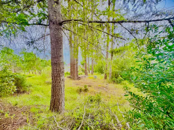 110 Albatross Road, Shelter Cove, CA 95589