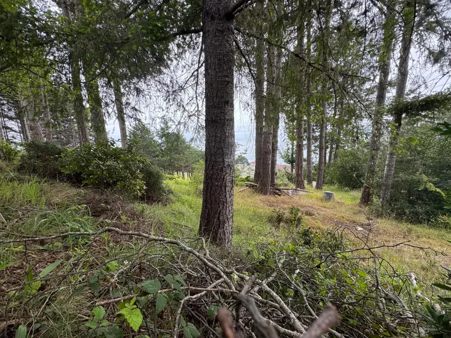 110 Albatross Road, Shelter Cove, CA 95589 - #3