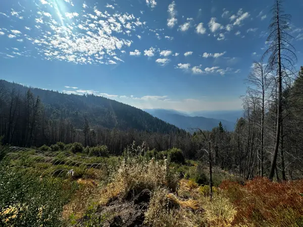 164 7n15 Road, Willow Creek, CA 95573