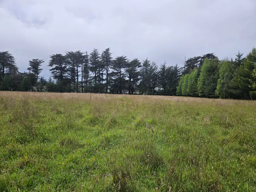 106 Pampas Lane, Fortuna, CA 95540 - #3