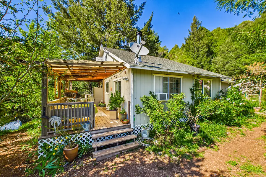 12600 Briceland Road, Whitethorn, CA 95589 - #2