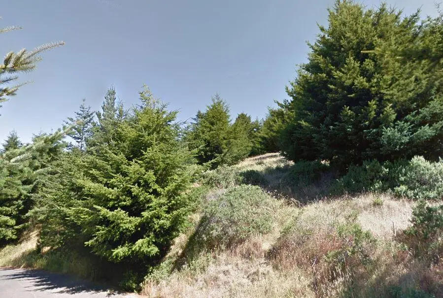 239 Bambi Drive, Whitethorn, CA 95589 - #2