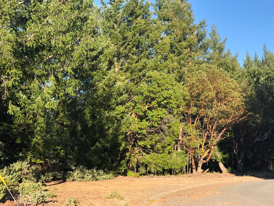 624 Toth Road, Shelter Cove, CA 95589 - #2