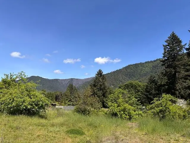 88 Butterfly Creek Road, Willow Creek, CA 95573 - #1