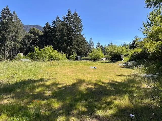 88 Butterfly Creek Road, Willow Creek, CA 95573 - #3
