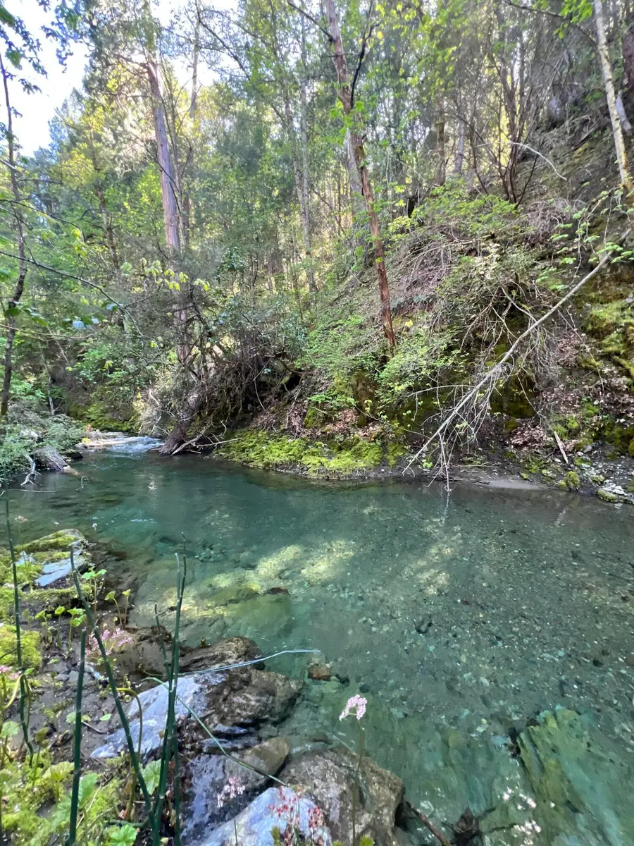 1500, 1551 Reading Creek Road, Douglas City, CA 96024 - #3