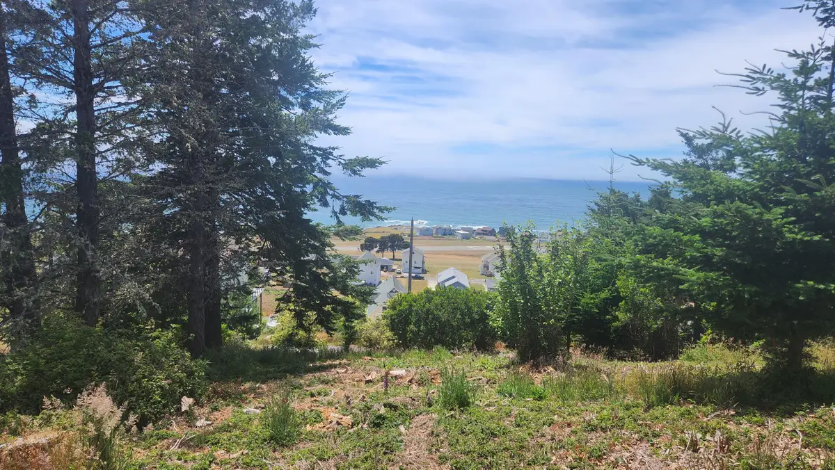 72 Shaker Road, Whitethorn, CA 95589 - #1