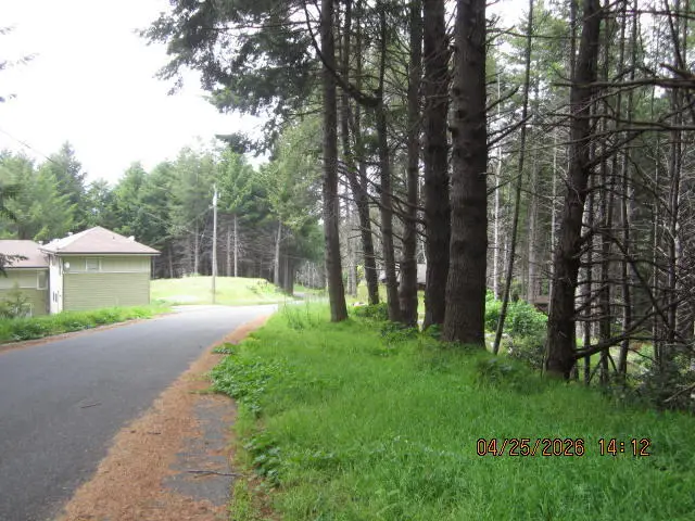 313 Ridge Road, Shelter Cove, CA 95589 - #1