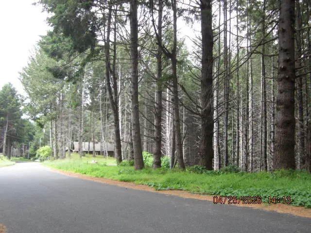 313 Ridge Road, Shelter Cove, CA 95589 - #3