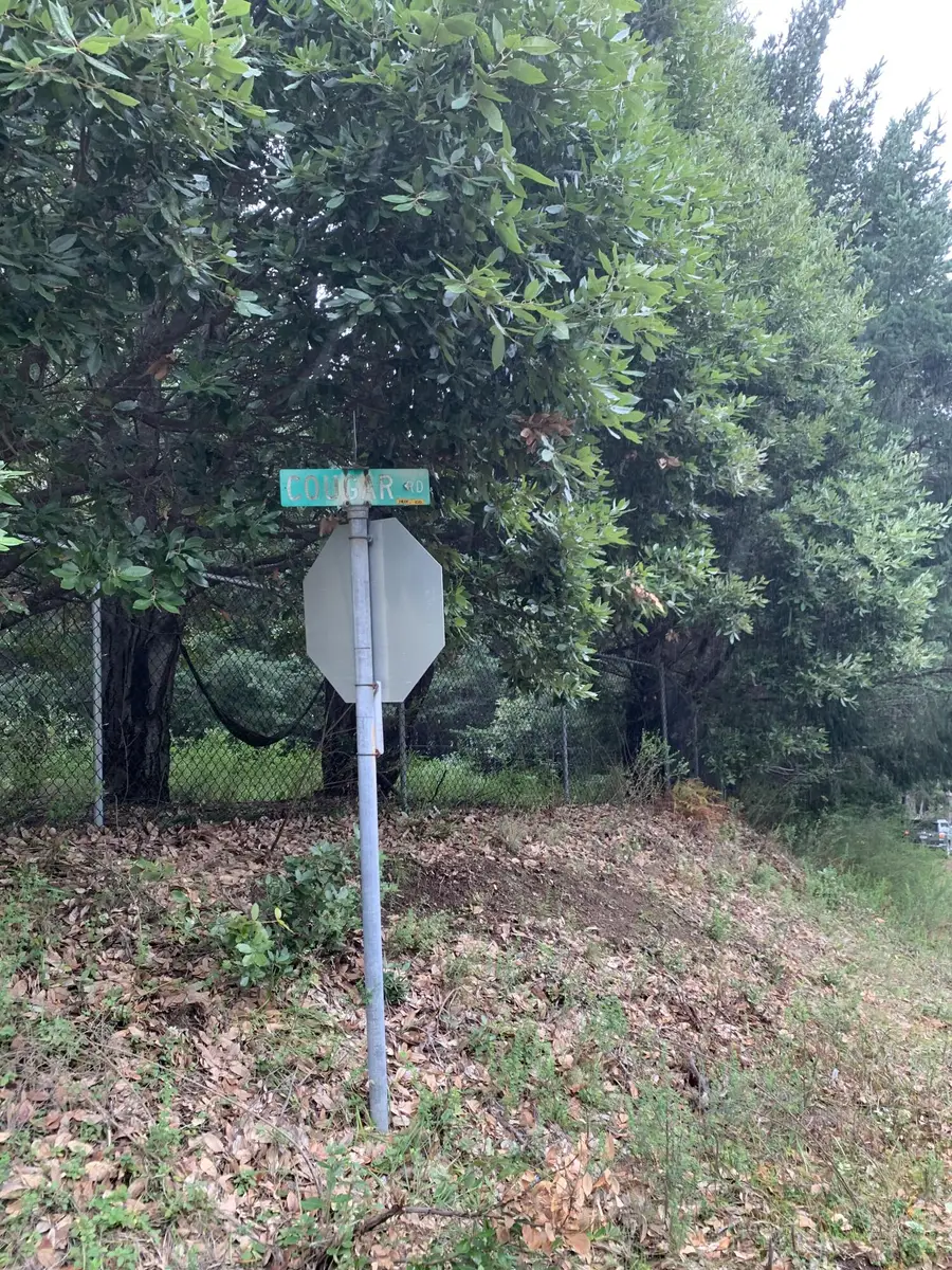 230 Cougar Road, Whitethorn, CA 95589 - #2