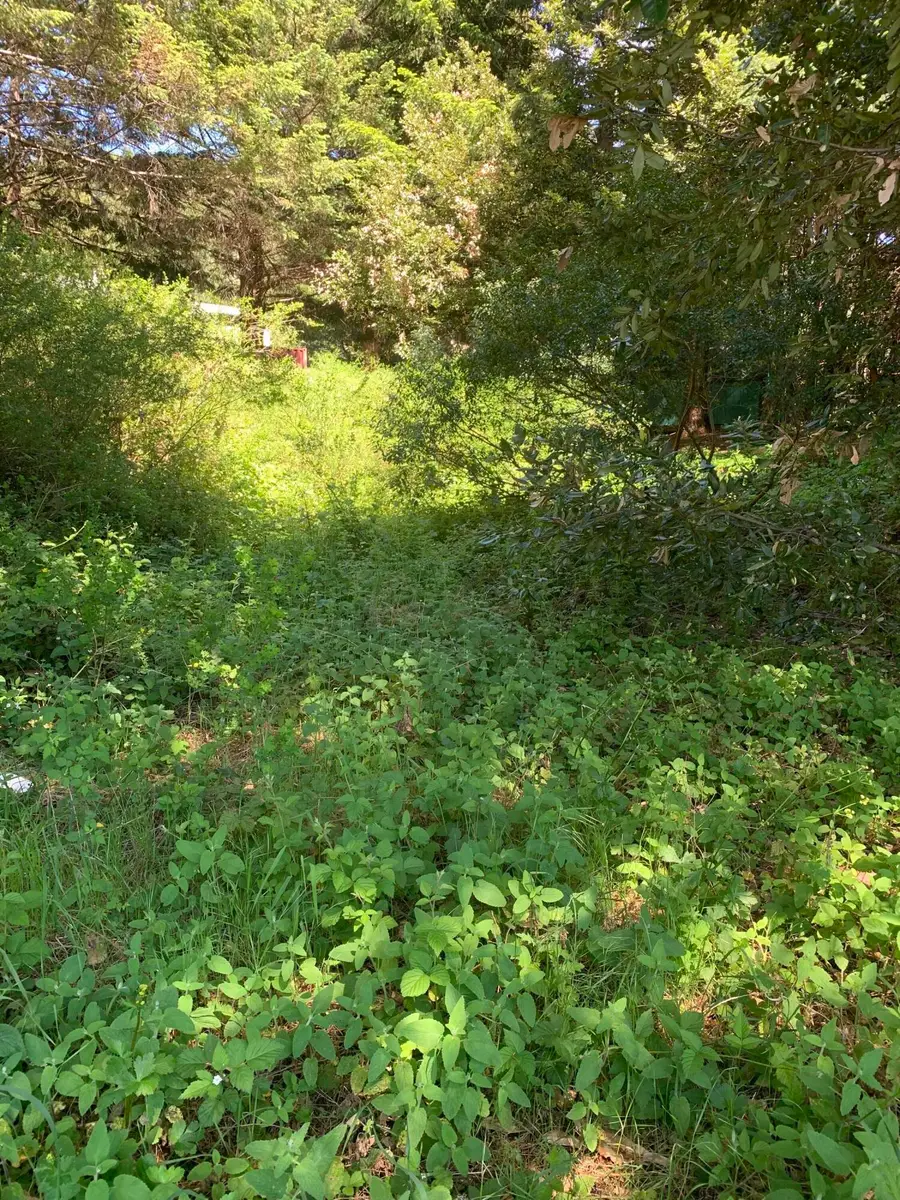 230 Cougar Road, Whitethorn, CA 95589 - #3
