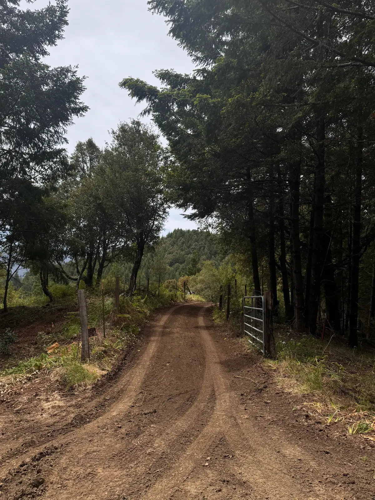 +/-80acres Conklin Creek Road, Petrolia, CA 95558 - #1