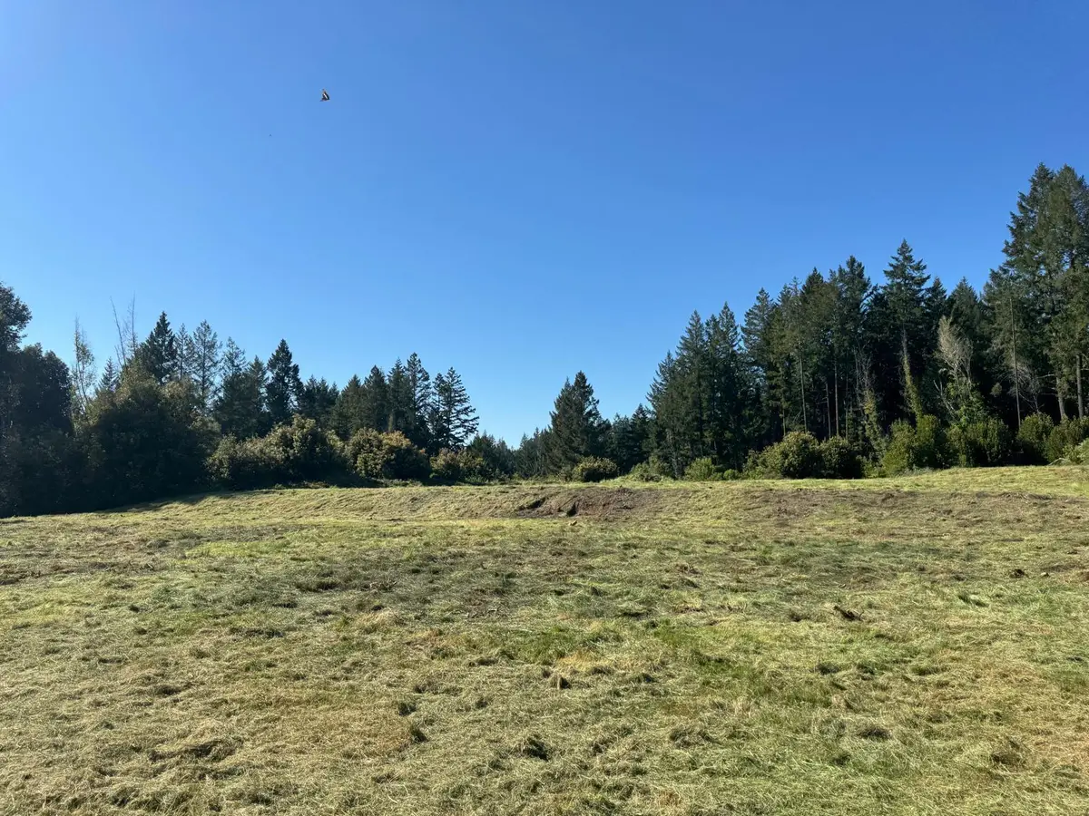 37430 Alderpoint Road, Blocksburg, CA 95514 - #1