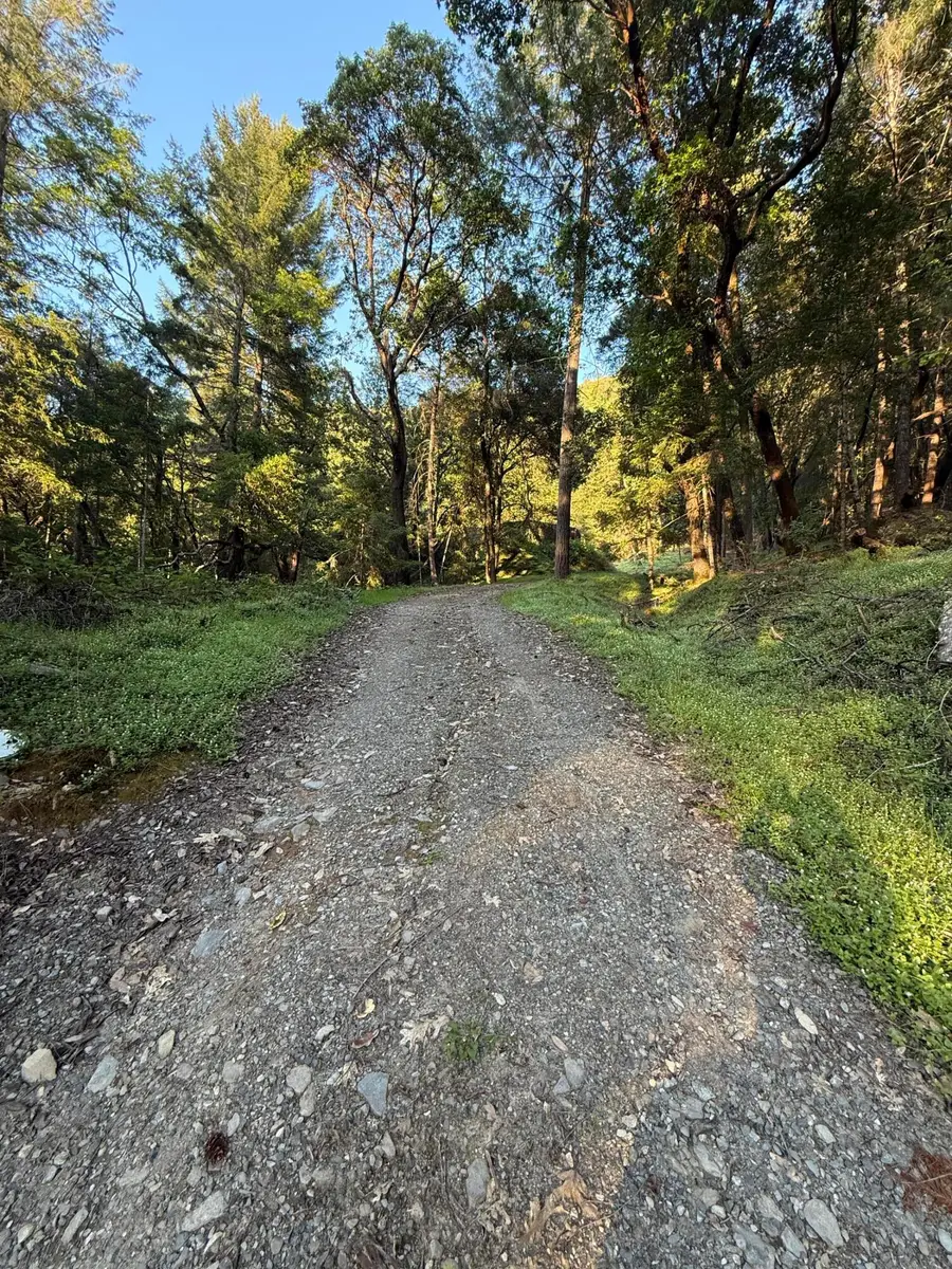 5680 Campbell Ridge Road, Salyer, CA 95563 - #2