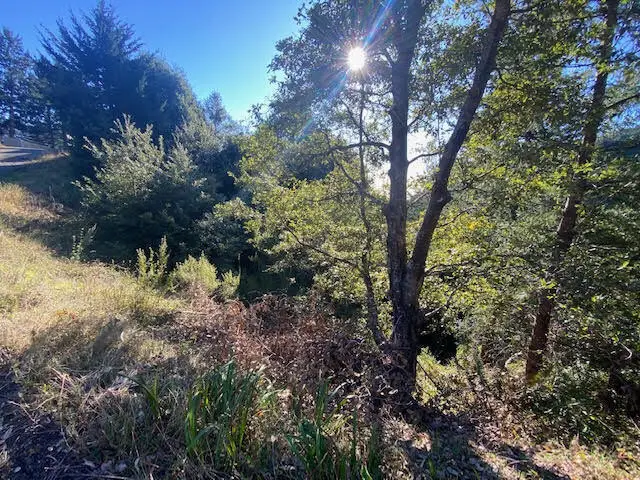 615 Muskrat Circle, Whitethorn, CA 95589 - #2
