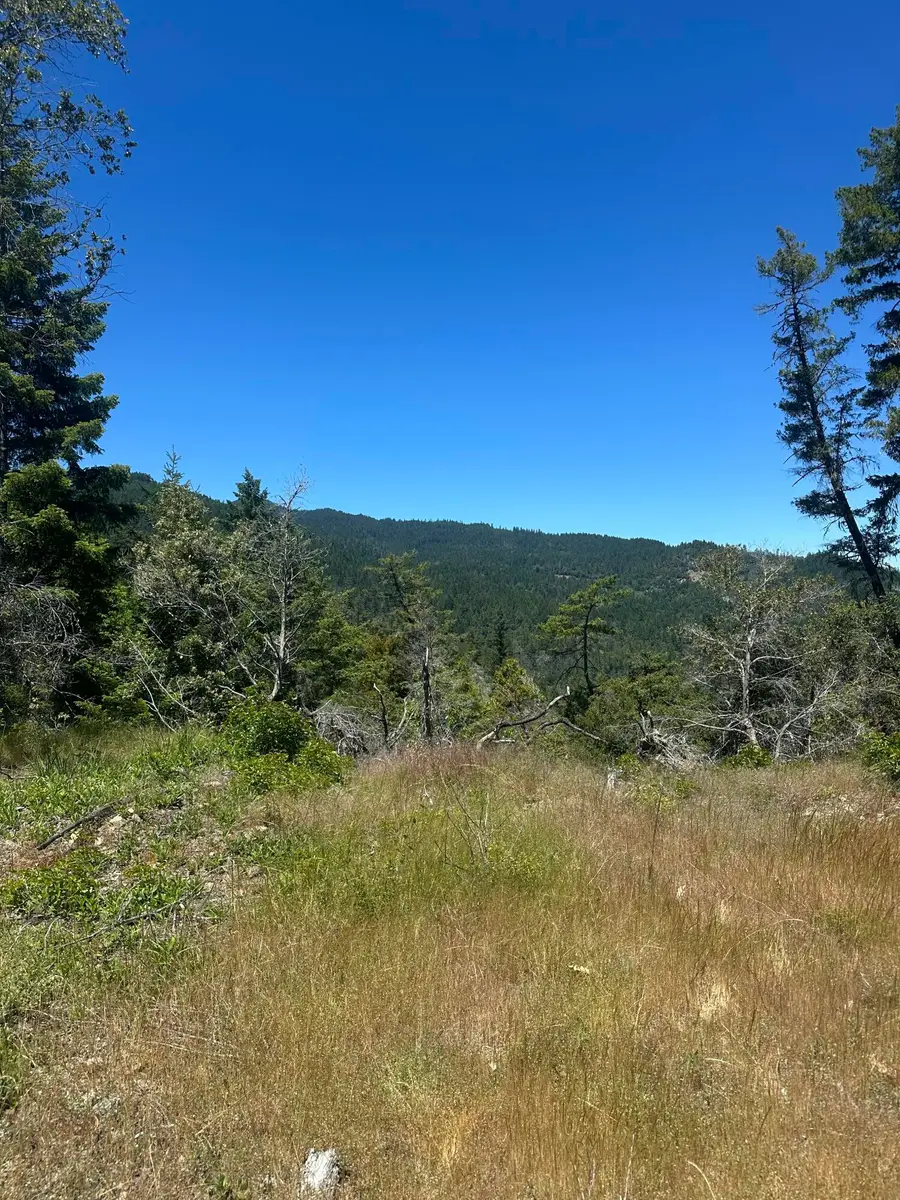 395 Acres Oak Knob Road, Willow Creek, CA 95573 - #2