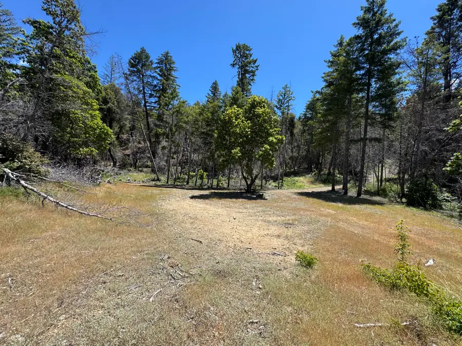 395 Acres Oak Knob Road, Willow Creek, CA 95573 - #3