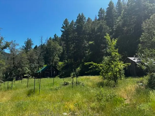 8980 Reading Creek Road, Douglas City, CA 96024 - #2