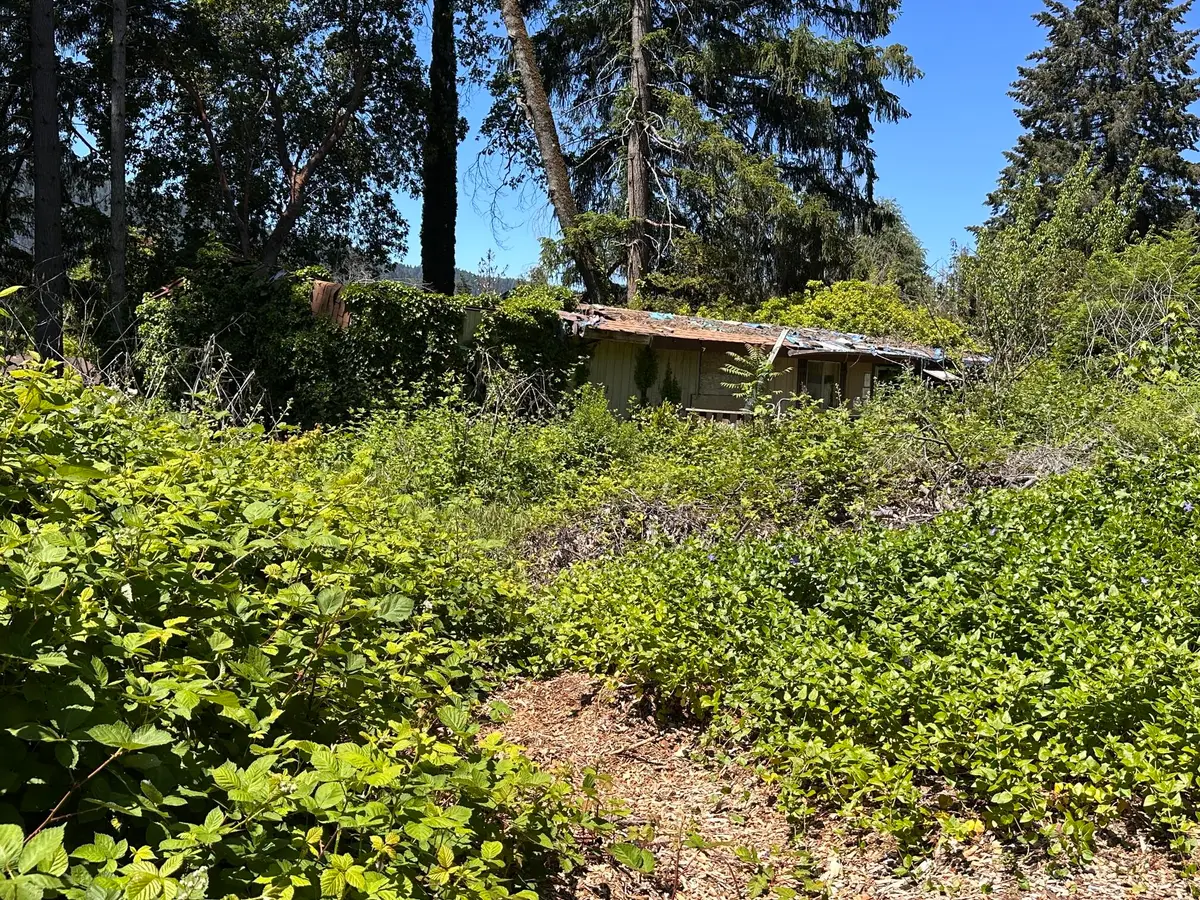 312 Forest View Drive, Willow Creek, CA 95573 - #1
