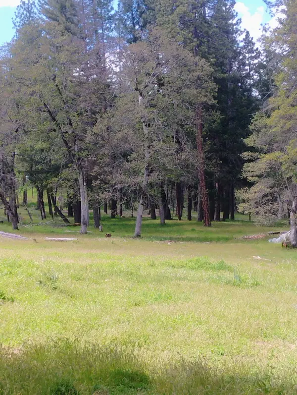 1411 Mcalexander Road, Hayfork, CA 96041