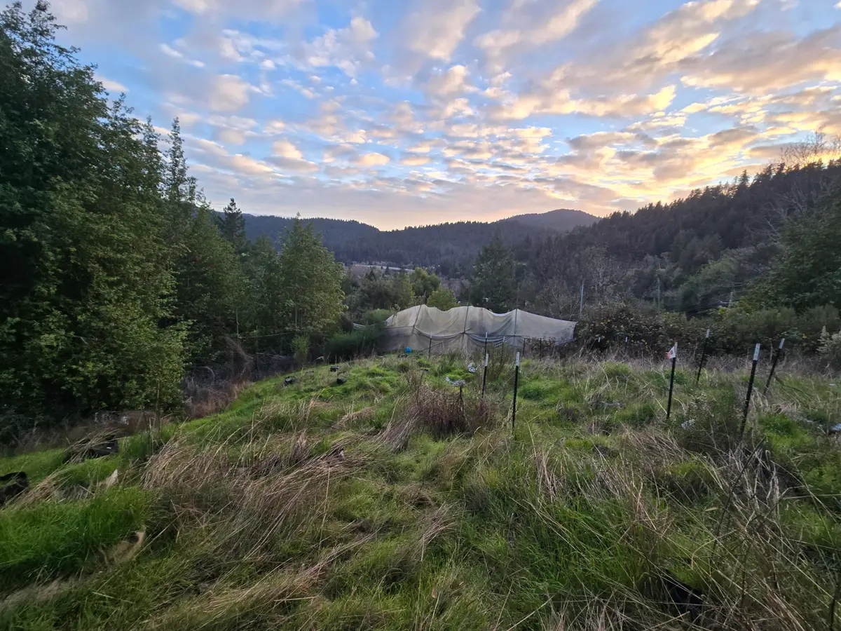 314 Oakcrest Drive, Benbow, CA 95542 - #1