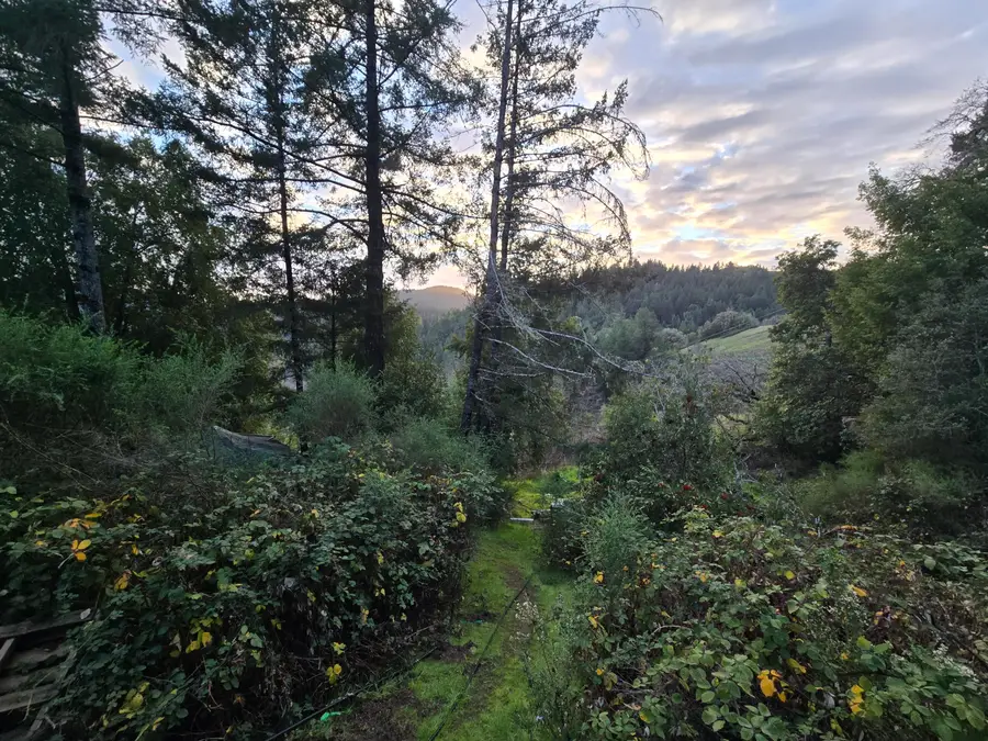 314 Oakcrest Drive, Benbow, CA 95542 - #3