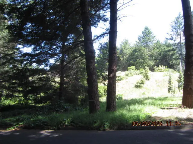 53 Madrone Road, Shelter Cove, CA 95589 - #1