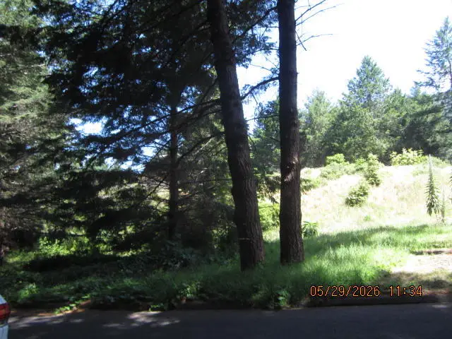 53 Madrone Road, Shelter Cove, CA 95589 - #2